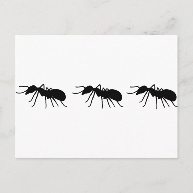 Ameisen Postkarte (Vorderseite)