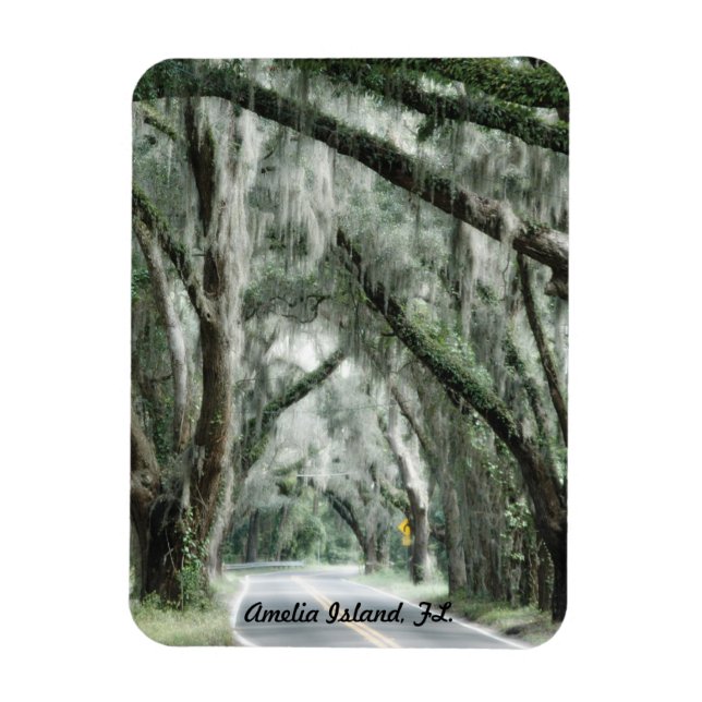 Amelia Island, FL-Magnet Magnet (Vertikal)