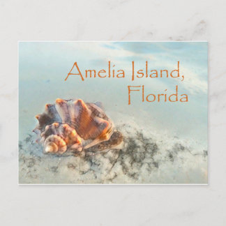 Amelia Island, FL Seashell Postcard Postkarte