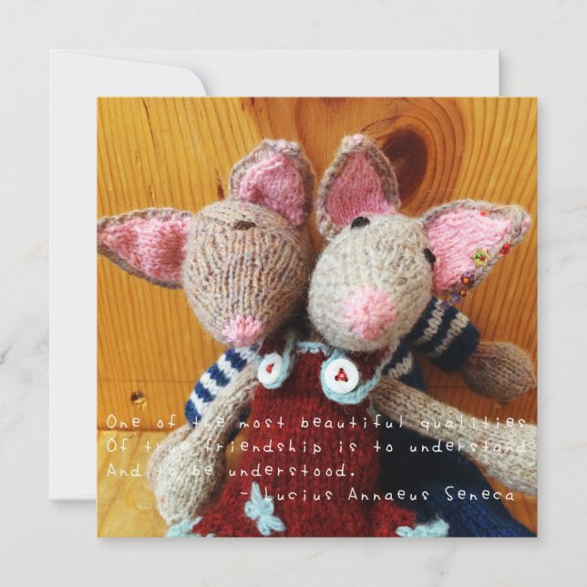 Amelias Phantastische Abenteuer (Vorderseite)