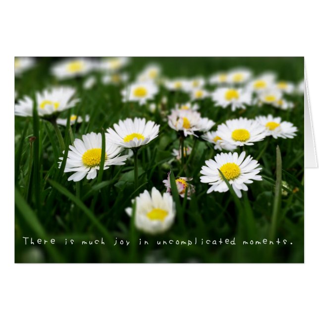 Amelias Phantastisches Adventures-Journal (Vorderseite (Horizontal))