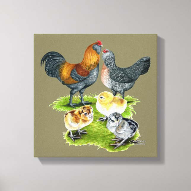 Ameraucana-Hühnerfamilie Leinwanddruck (Vorderseite)