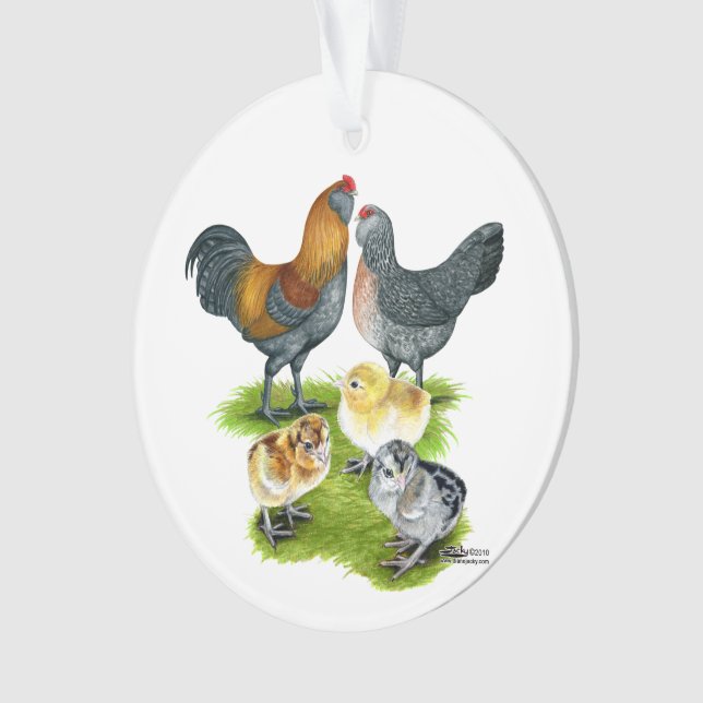 Ameraucana-Hühnerfamilie Ornament (Vorderseite)