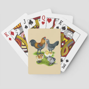 Ameraucana-Hühnerfamilie Spielkarten