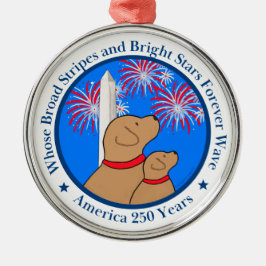 America 250 DC Edition Ornament Aus Metall