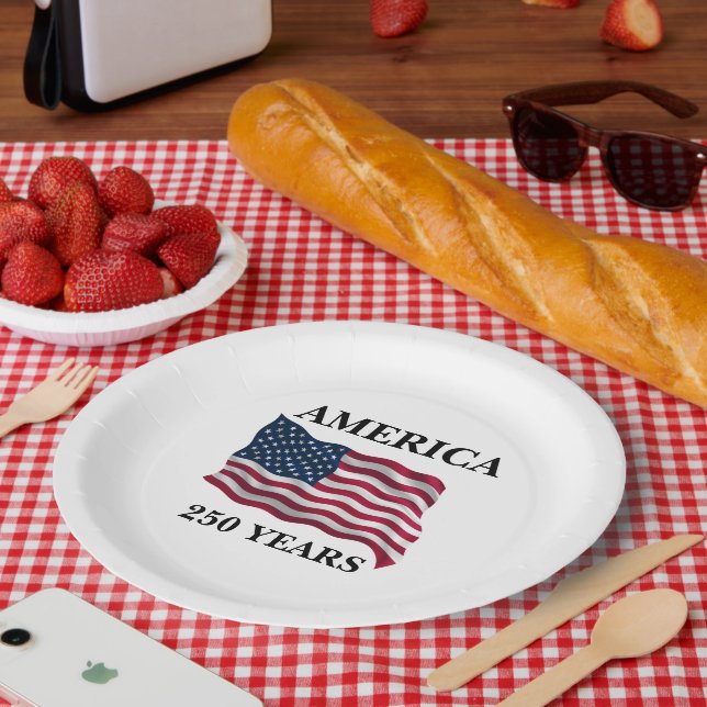 America 250 Years Flag Pappteller (Picknick)
