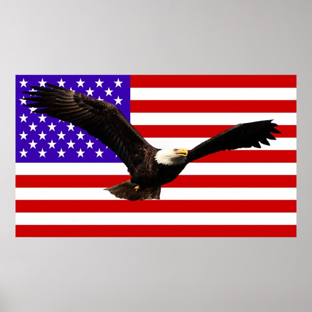 America flagge Bald Eagle USA Poster (Vorne)