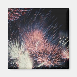 America Patriotic 351 Magnet