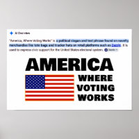 America, Where Voting Works Poster