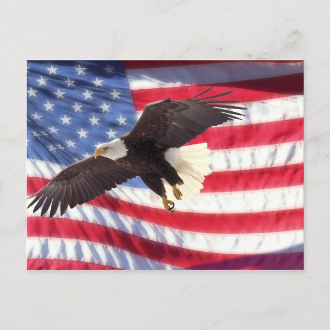 Américain Eagle et carte postale de drapeau (Devant)