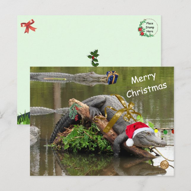 American Alligator Christmas Postcard Postkarte (Vorne/Hinten)