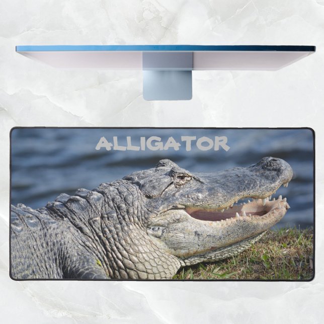 American Alligator Fotografic Wildlife Closeup Schreibtischunterlage (Von Creator hochgeladen)