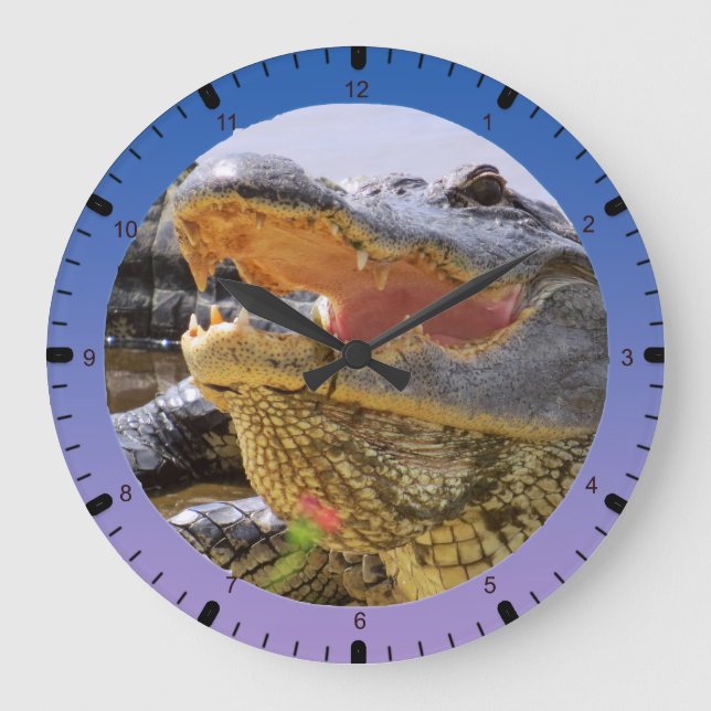 American Alligator Große Wanduhr (Vorderseite)