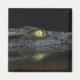 American Alligator Magnet