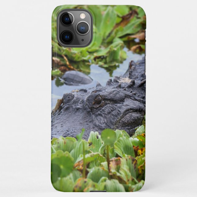 American Alligator unter den Pflanze - Lebhaft iPhone Hülle (Rückseite)