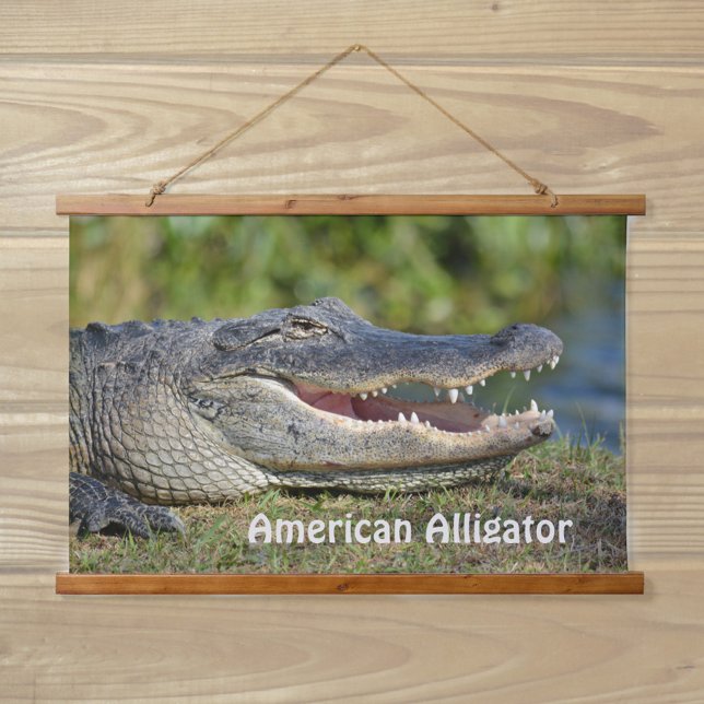 American Alligator Wildlife Fotografy Wandteppich Mit Holzrahmen (Von Creator hochgeladen)