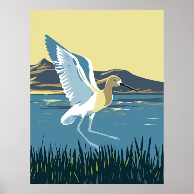 American Avocet Poster (Vorne)