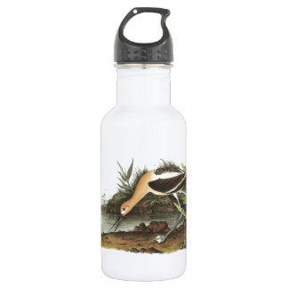 American Avocet von Audubon Edelstahlflasche