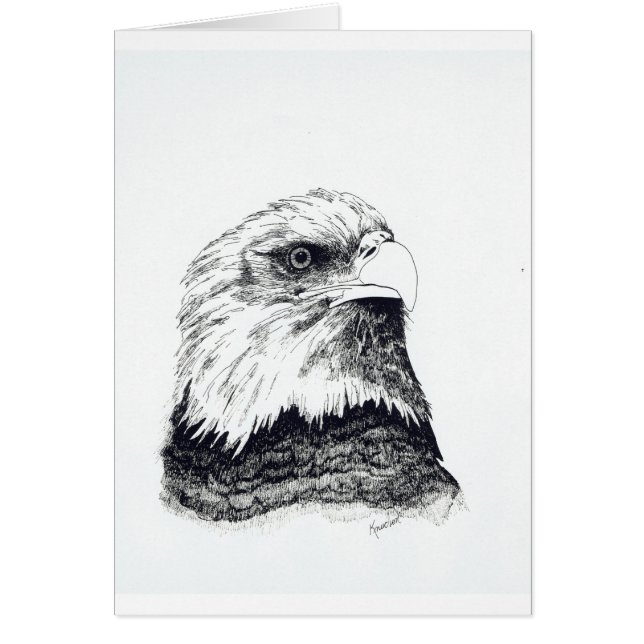 American Bald Eagle (Vorne)