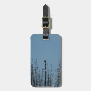 American Bald Eagle 8974 Gepäckanhänger