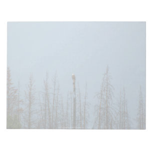 American Bald Eagle 8974 Notizblock