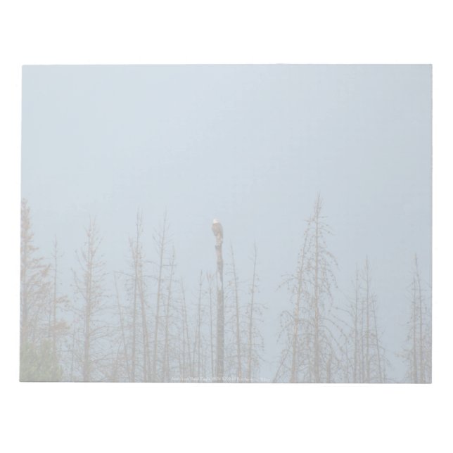 American Bald Eagle 8974 Notizblock (Vorderseite)