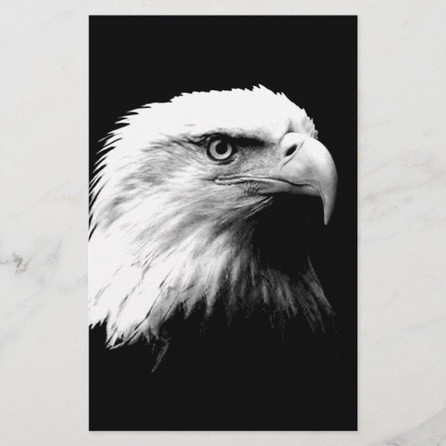 American Bald Eagle Briefpapier (Vorderseite)