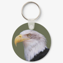 American Bald Eagle Foto