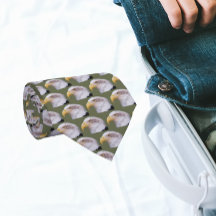 American Bald Eagle Head Pattern