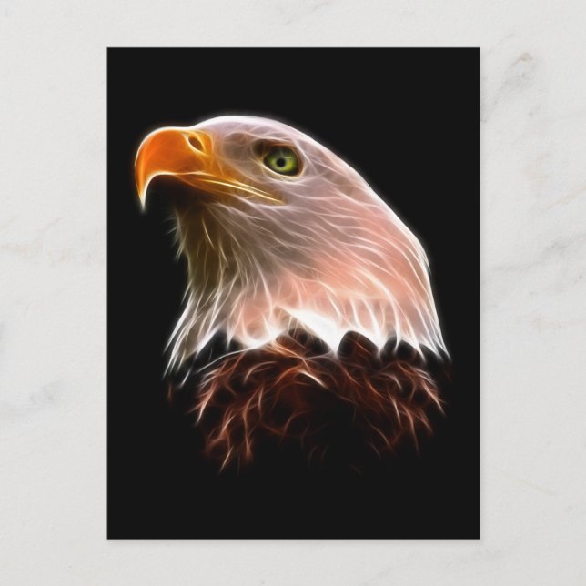 American Bald Eagle Head Postkarte (Vorderseite)