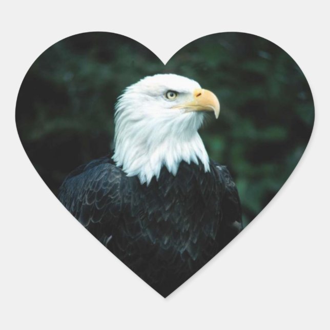 American Bald Eagle Heart Sticker (Vorderseite)