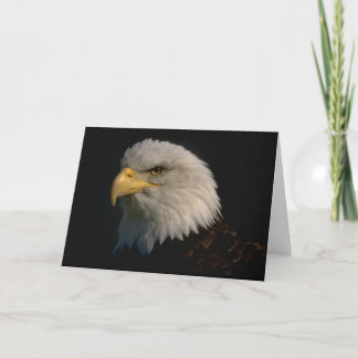 American Bald Eagle Karte