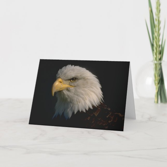 American Bald Eagle Karte (Vorderseite)