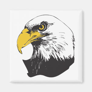 American Bald Eagle Magnet