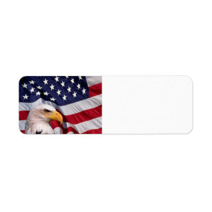 American Bald Eagle mit Flaggenhintergrund