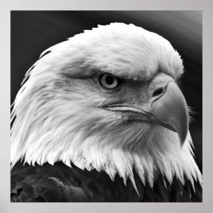 American Bald Eagle Motivierend Leadership Poster