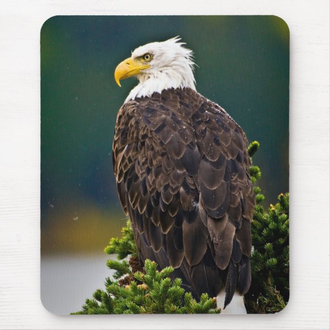 American Bald Eagle Perched Mousepad (Vorne)