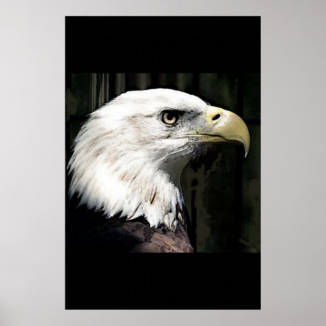 American Bald Eagle Poster Print Eagles Posters (Vorne)