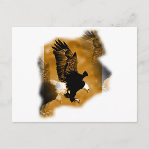 American Bald Eagle Postkarte
