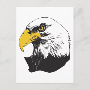 American Bald Eagle Postkarte