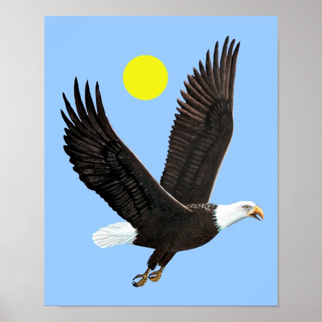 American Bald Eagle Print Poster (Vorne)