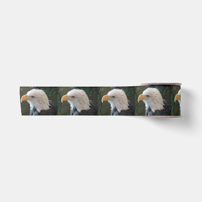 American Bald Eagle Satinband (Vorderseite)