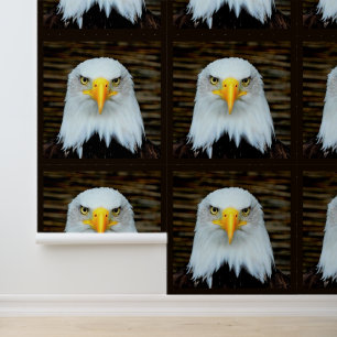 American Bald Eagle Tapete