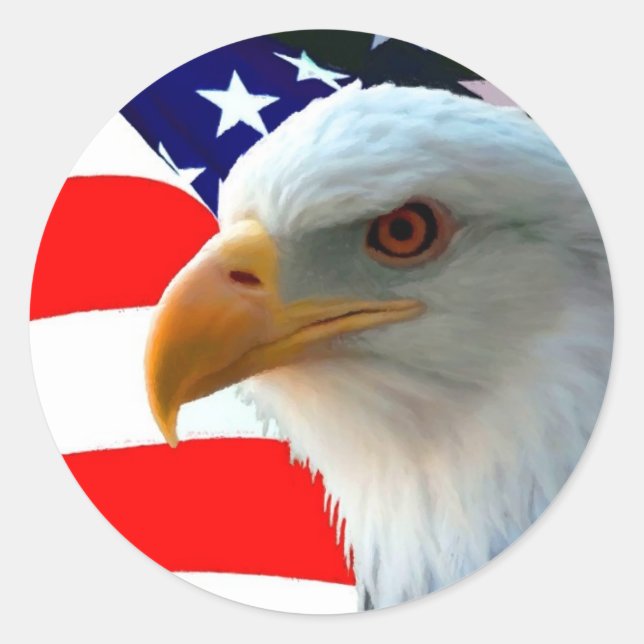 American Bald Eagle & U.S. Flag Runder Aufkleber (Vorderseite)