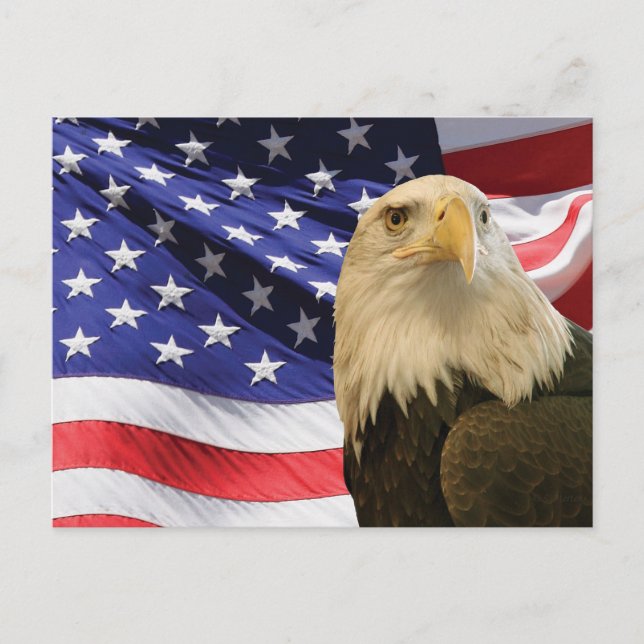 American Bald Eagle und Flag Postkarte (Vorderseite)