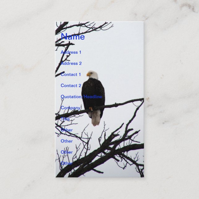 American Bald Eagle Visitenkarte (Vorderseite)