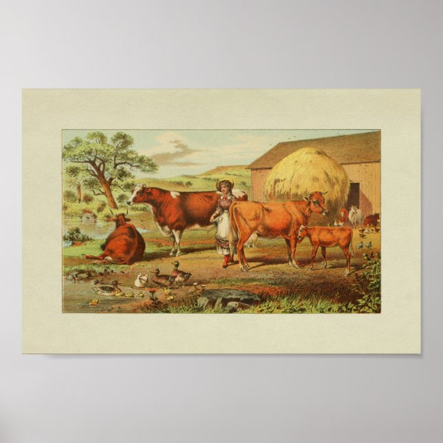 American Bauer Vintag Print Cows Ducks Poster (Vorne)