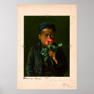 American Beauty (1895) Poster