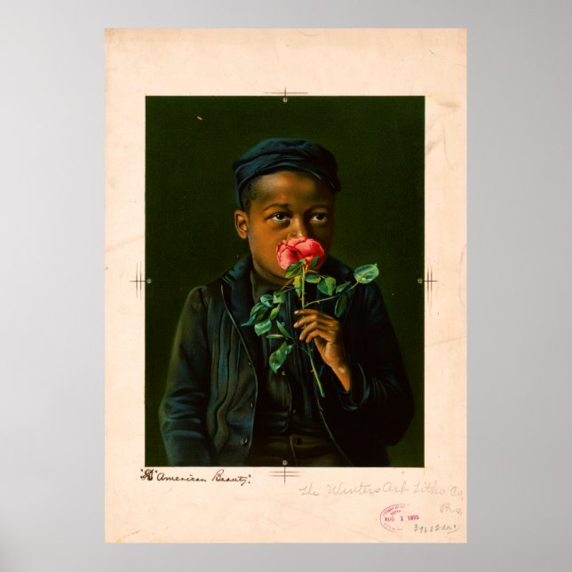 American Beauty (1895) Poster (Vorne)