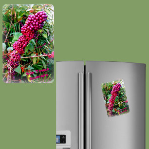 American Beautyberry at Bok Tower Gardens Florida Magnet